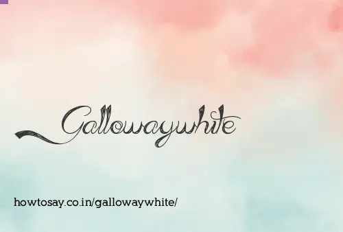 Gallowaywhite