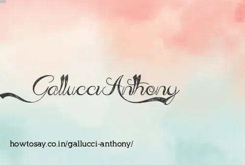 Gallucci Anthony