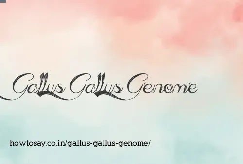 Gallus Gallus Genome