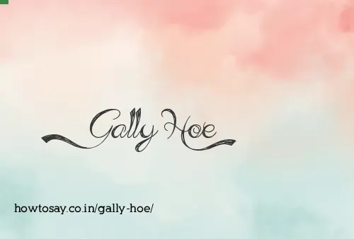 Gally Hoe