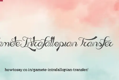 Gamete Intrafallopian Transfer