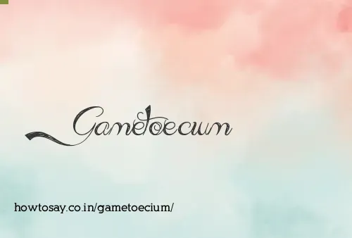 Gametoecium