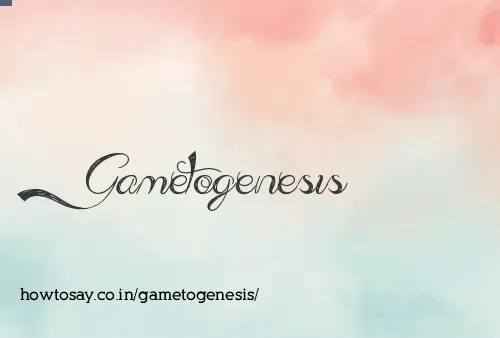 Gametogenesis