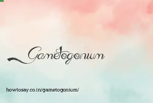 Gametogonium