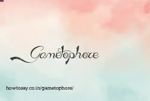 Gametophore