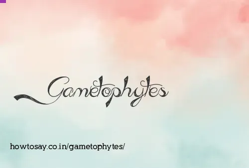Gametophytes