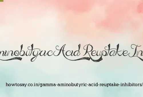 Gamma Aminobutyric Acid Reuptake Inhibitors