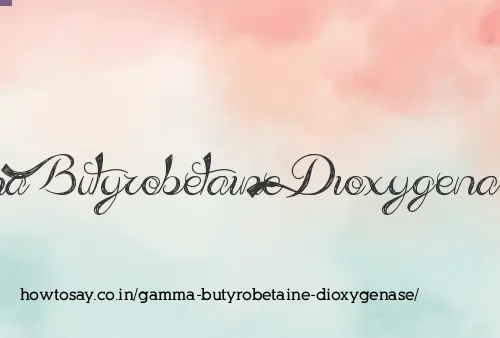 Gamma Butyrobetaine Dioxygenase