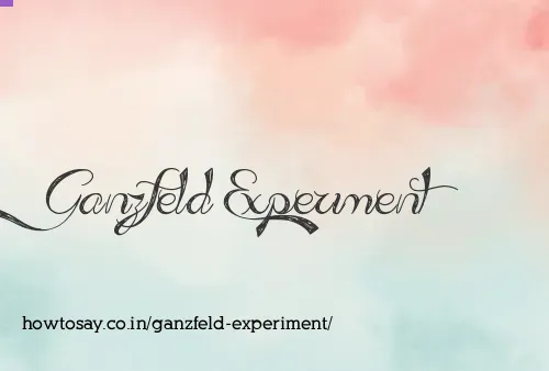 Ganzfeld Experiment