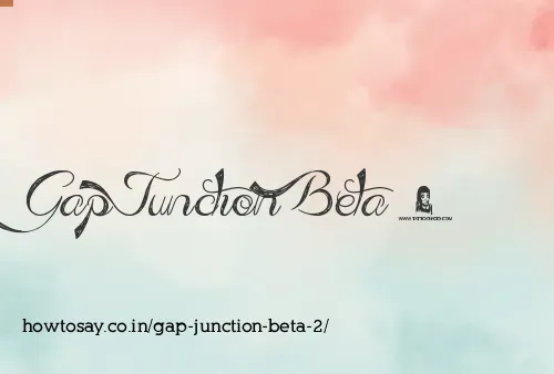 Gap Junction Beta 2