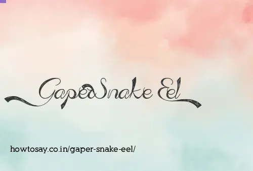 Gaper Snake Eel