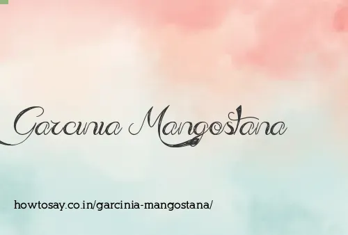 Garcinia Mangostana
