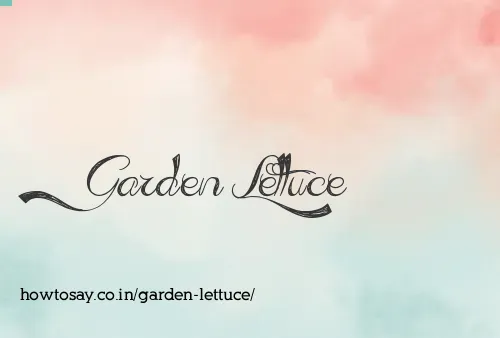 Garden Lettuce