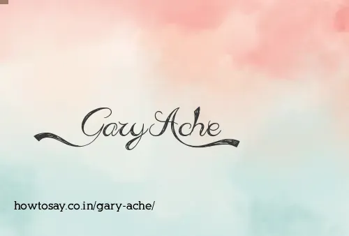 Gary Ache