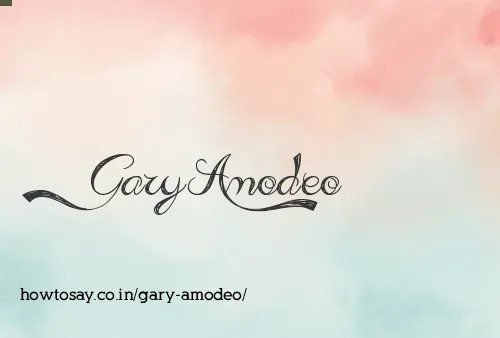 Gary Amodeo