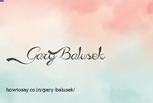 Gary Balusek