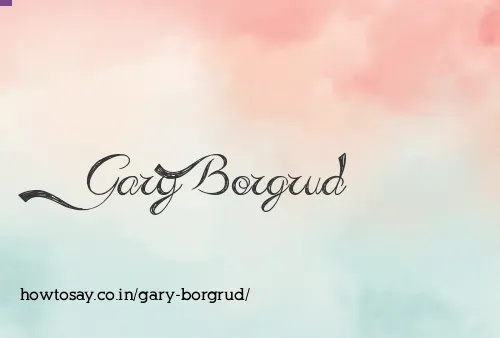Gary Borgrud