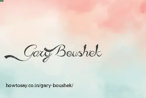 Gary Boushek