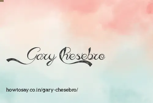 Gary Chesebro