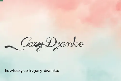 Gary Dzamko