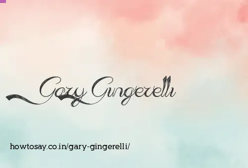 Gary Gingerelli