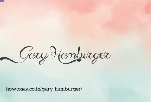 Gary Hamburger