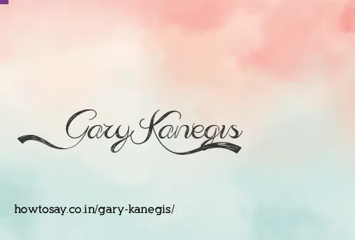 Gary Kanegis