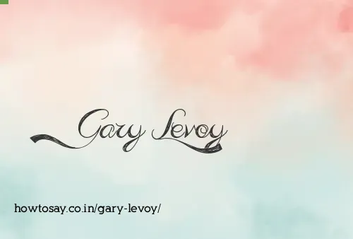 Gary Levoy