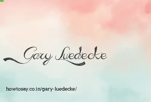 Gary Luedecke