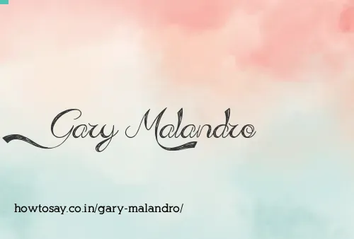 Gary Malandro