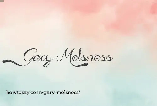 Gary Molsness