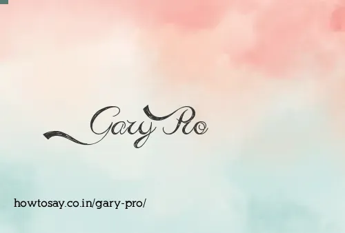 Gary Pro