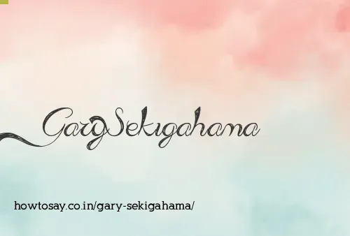 Gary Sekigahama