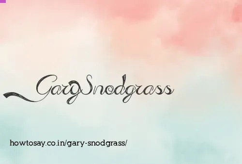 Gary Snodgrass