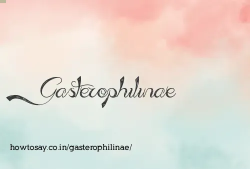 Gasterophilinae