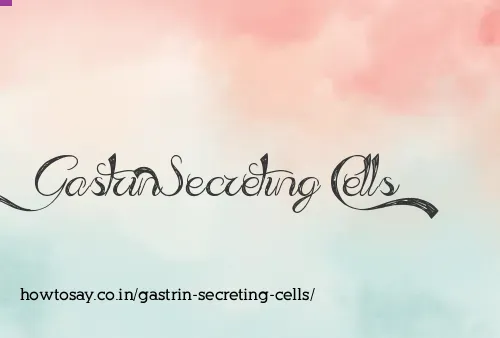 Gastrin Secreting Cells