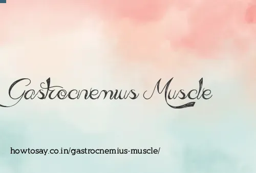 Gastrocnemius Muscle