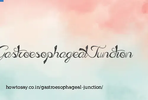 Gastroesophageal Junction