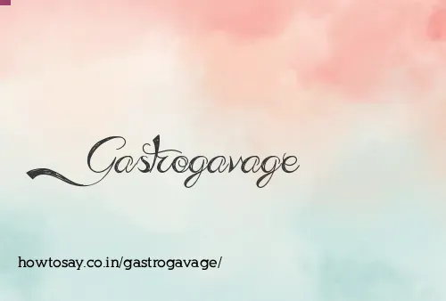 Gastrogavage