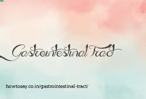 Gastrointestinal Tract