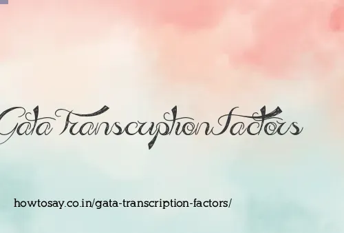 Gata Transcription Factors