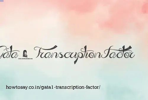Gata1 Transcription Factor
