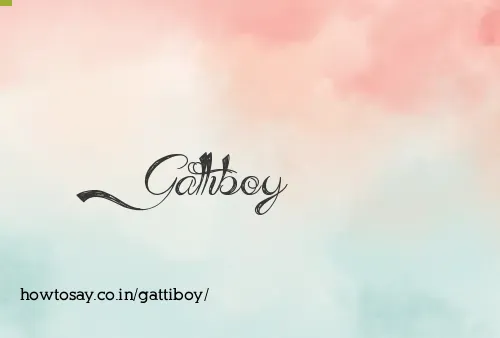 Gattiboy