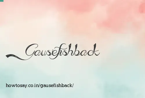 Gausefishback