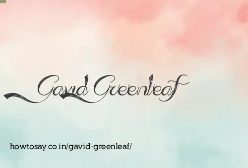 Gavid Greenleaf