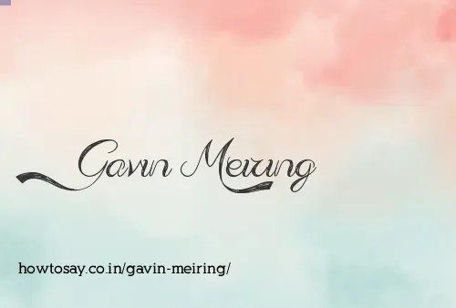Gavin Meiring