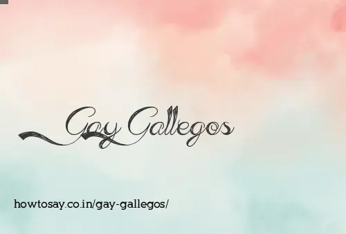 Gay Gallegos