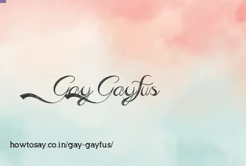 Gay Gayfus