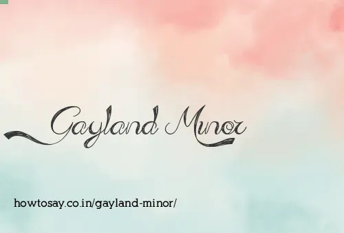 Gayland Minor