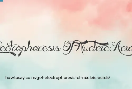 Gel Electrophoresis Of Nucleic Acids